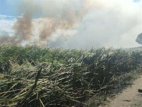 Incendio En Pastizal Provoca Movilizaci N De Cuerpos De Emergencia En