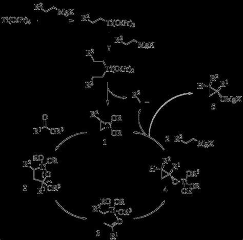 Kulinkovich Reaction Alchetron The Free Social Encyclopedia