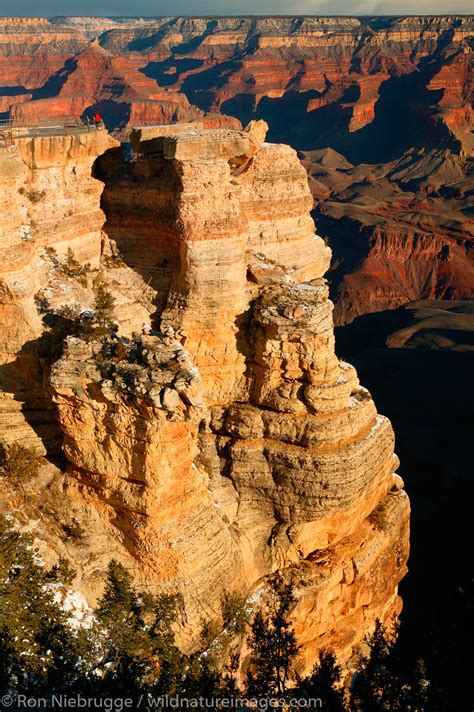 Grand Canyon National Park Photos By Ron Niebrugge