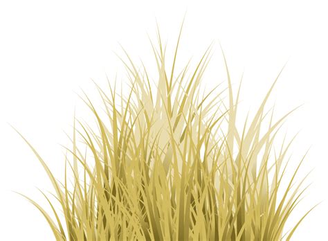 Dry Grass Png 6940 Download