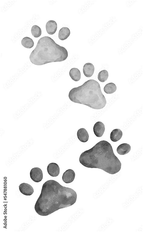 4 cat paw prints border in black and white Stock Illustration | Adobe Stock