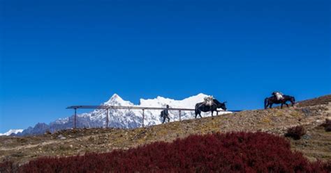 Langtang National Park: Nepal's First Himalayan National Park