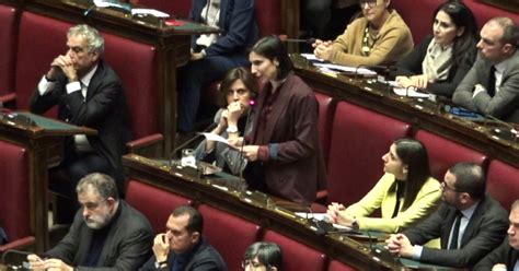 Acca Larentia Schlein Al Governo Saluto Fascista Non Sono Cani