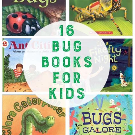 Bug Books For Kids Preschool Books Books School Fun