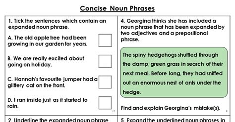 Year 5 Concise Noun Phrases Lesson Classroom Secrets Classroom Secrets