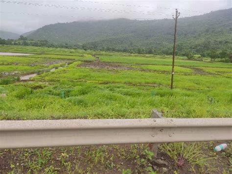 Agricultural Land Guntha For Sale In Mahad Raigad Rei