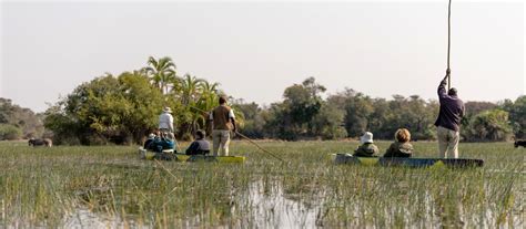 botswana safaris travel guide