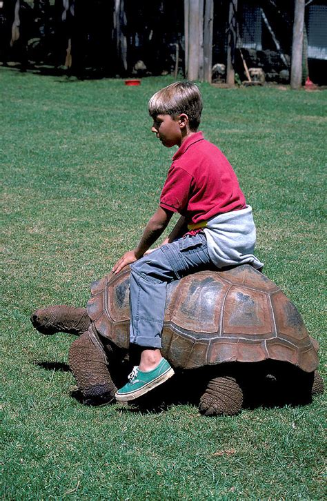 Riding A Turtle Photograph By Carl Purcell Fine Art America