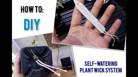 Diy Self Watering Plant Wick System So Easy Youtube