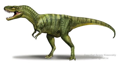 Albertosaurus Pictures & Facts - The Dinosaur Database