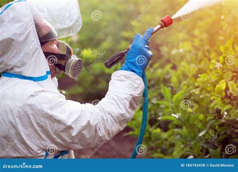 Spray Ecological Pesticide Farmer Fumigate In Protective Suit And Mask