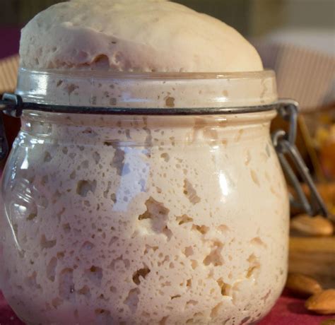 Lievito Madre La Ricetta Pi Semplice E Veloce Per Prepararlo A Casa