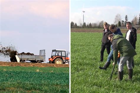 Rolnictwo regeneratywne daje efekt nawet na słabych glebach WIDEO