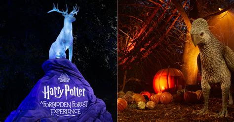 Harry Potter A Forbidden Forest Experience Coming To Sentosa In Feb