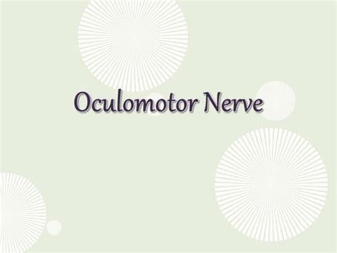 Anatomy of 3rd cranial nerve | PPT