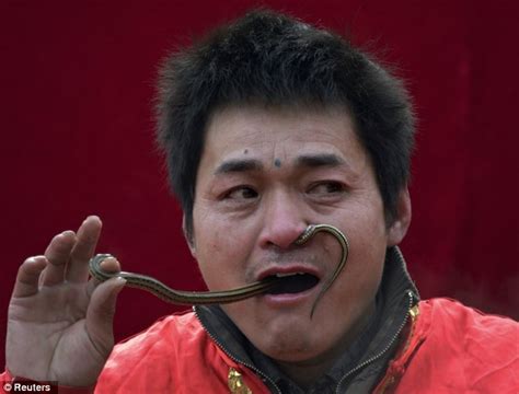 Man puts live reptile through his mouth and nose as China celebrate year of the snake | Daily ...