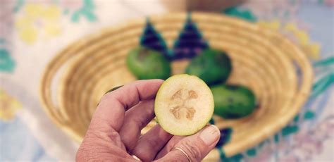 5-Star Feijoa Recipes: Feijoa Strudel and Chia Feijoa Jam Recipe