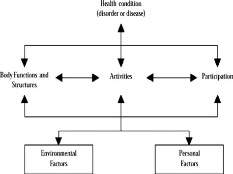 World Health Organizations International Classification Of