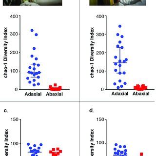 Dot Plots Of Species Richness Using Chao 1 Index Of The Adaxial And