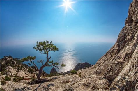 Климат Крыма