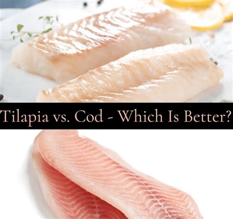 Tilapia Vs Cod Which Is Better Taste Nutrition Price