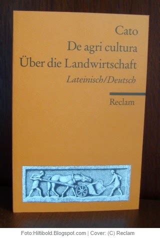 Hiltibold Wanderer zwischen Antike und Mittelalter Buch Über