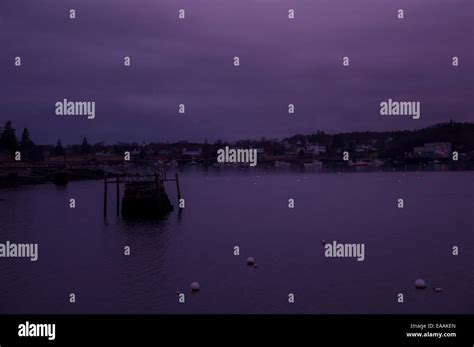 Evening In A Quiet Maine Harbor Boats And Small Town Visible On Far