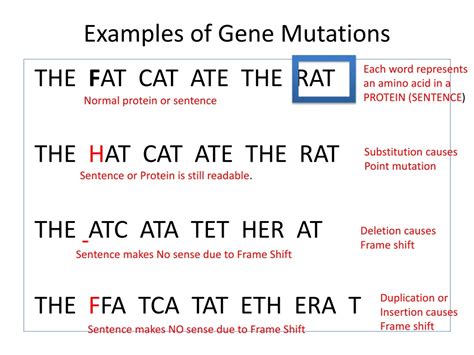 Frameshift Mutation Example