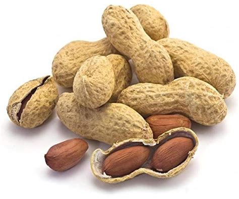 Bulk Raw Peanuts In Shell For Birds And Squirrels 5 Pounds Review Raw