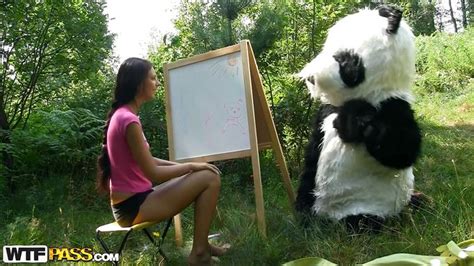 Panda Fuck Wtf Pass Videos Tube Clips
