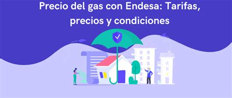 Precio Del Gas Con Endesa Tarifas Precios Y Condiciones