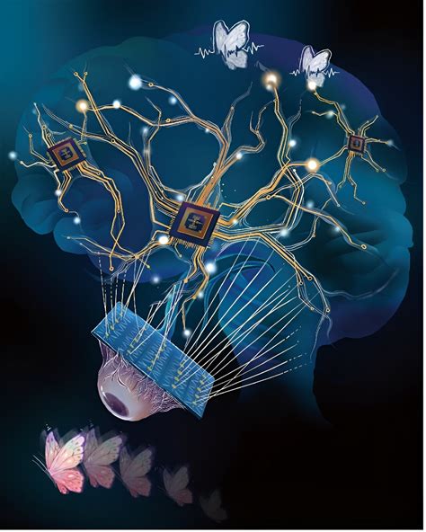 Un Nouveau Circuit Neuronal Dendritique Artificiel Inspir Du Cerveau