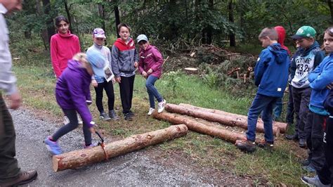 Waldjugendspiele Grundschule Am Rodelberg