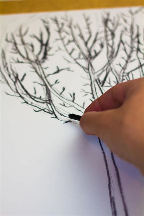 Easy Ghaf Tree Drawing For Kids Sometimes Its Best To Go Back To