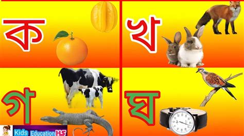 bangla bornomala বযঞজনবরণ ক খ গ ঘ bengali alphabet