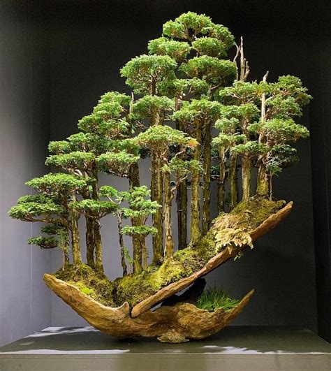 Behold The Artistry Of Bonsai Master Masahiko Kimura