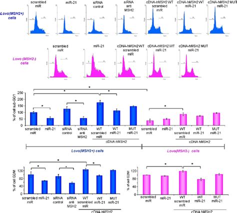 MiR 21 Inhibits 5 FU Induced Apoptosis In Vitro SW620 And Colo 320DM