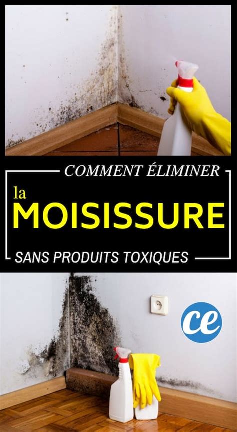 Comment Éliminer La Moisissure Sans Produits Chimiques