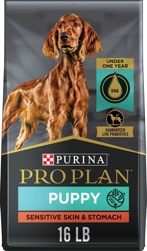 Purina Pro Plan Nourriture sèche pour chiens pour grandes races peau