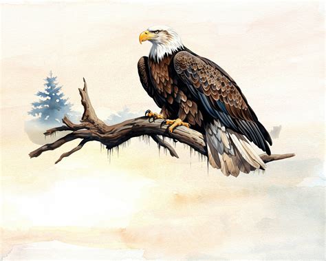 Majestic Bald Eagles Perched on a Branch Clipart - Beautiful Bald Eagle