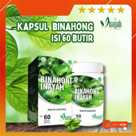 Jual Kapsul Daun Binahong Inayah Herbal Bpom Isi Lpom Mui Shopee