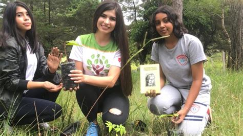 Iniciativa Un Rbol Un Libro Un Ni O Llega Al Colegio Lvaro