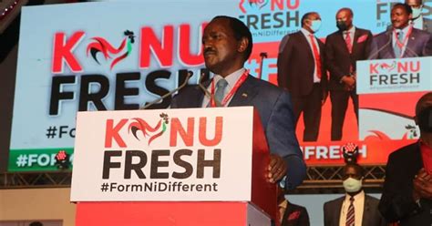 Kalonzo Musyoka Hints of a Massive, Unmatched Merger ahead of 2022 Elections - Tuko.co.ke