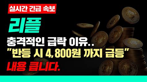 실시간 긴급 속보 리플 충격적인 급락 이유 반등 시 4800원 까지 급등 내용 큽니다 리플 리플전망 리플코인