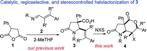 Proposed Plan For The Synthesis Of Fused γ Lactam Fused δ Lactones