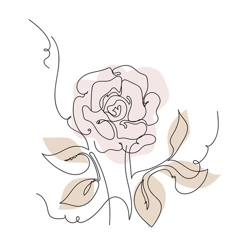 Rose continuous line , outline sketch style vector abstract art ...