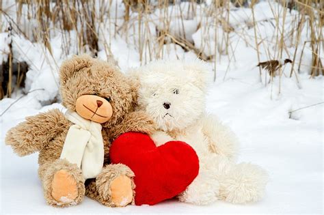 Teddy Bear Love Wallpaper Hd K Infoupdate Org