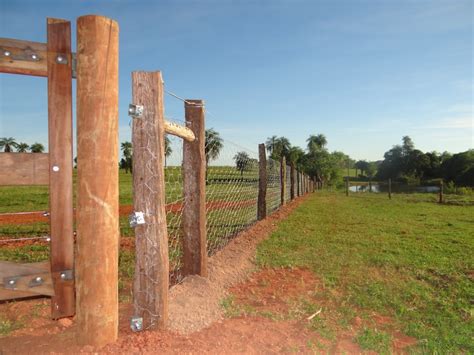 Finalizado Piquetes Para Manejo De Ovinos Na Fazenda Fazenda