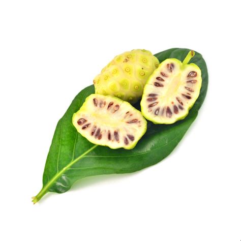 Morinda Citrifolia Organic Noni Fruit Powder Packaging Size 1 Kg