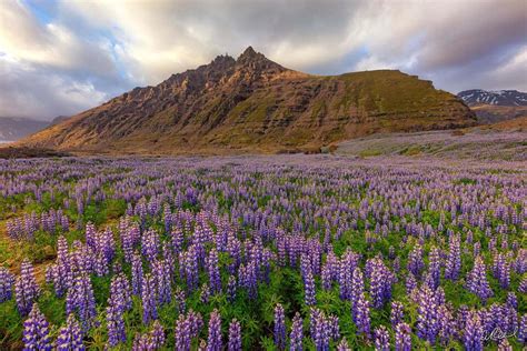 Mountain Photography | Fine Art Prints by Aaron Reed | Fine Art Prints ...